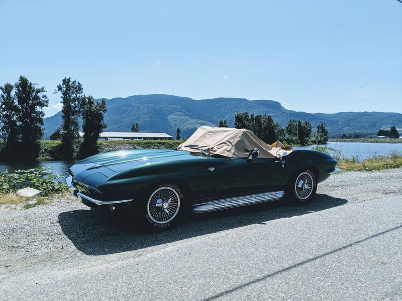 Illustration for article titled Initial Reaction of a Current Corvette Owner & Boomer
